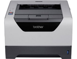 Toner pour Brother HL-5300